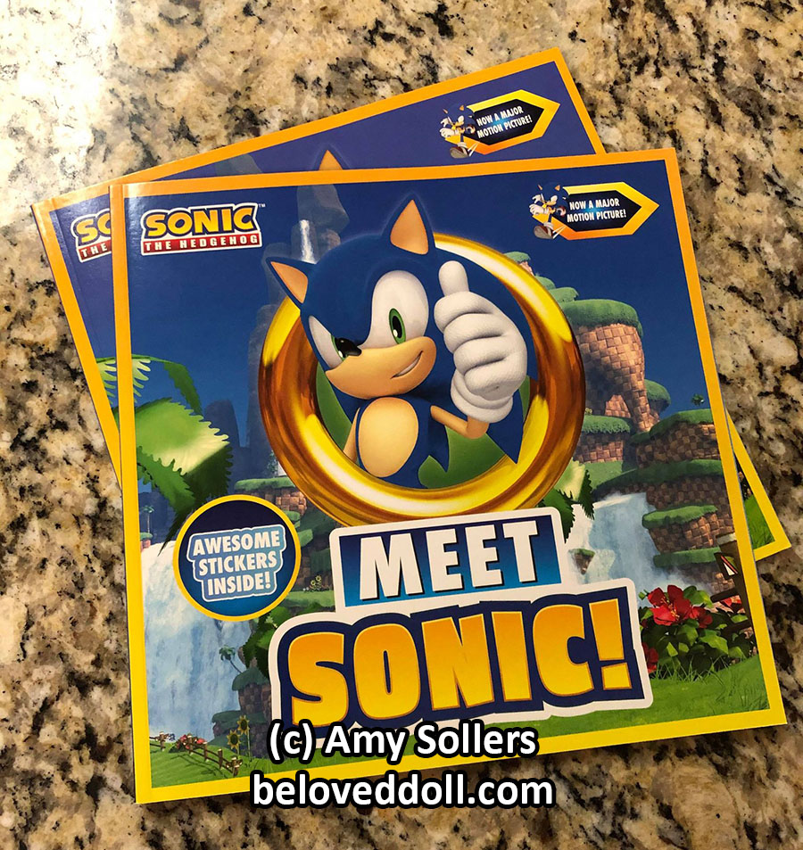 Meet Sonic! Book