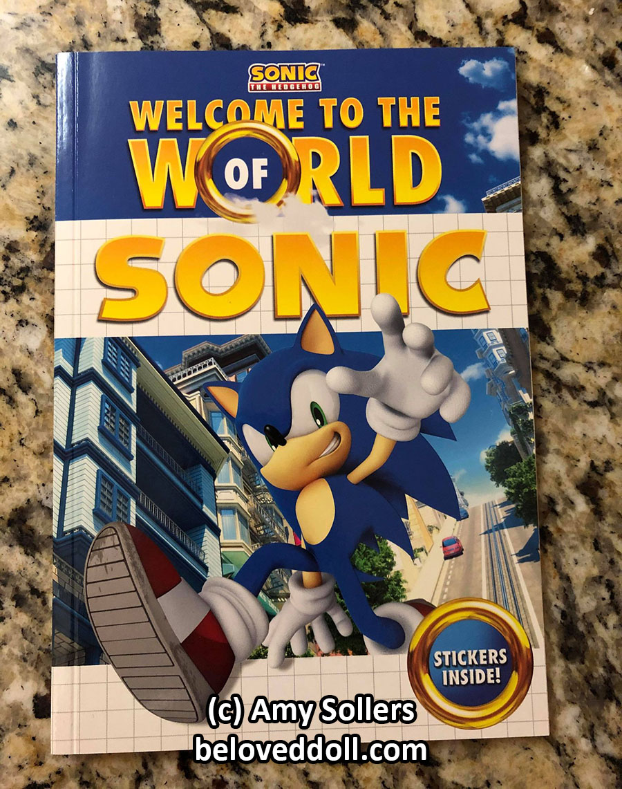 Welcome to the World of Sonic Book